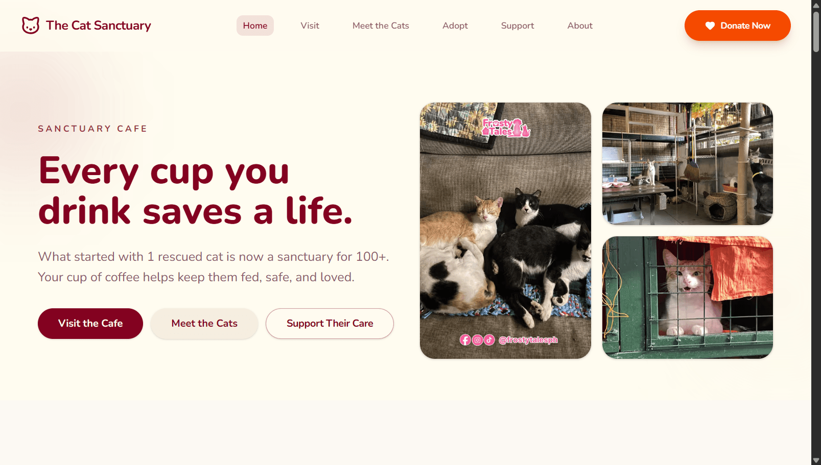 The Cat Sanctuary